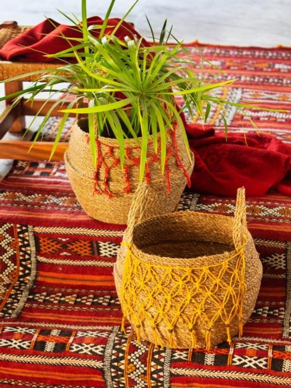 Planters and tabletop